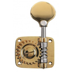 Ühe bassimängija pea