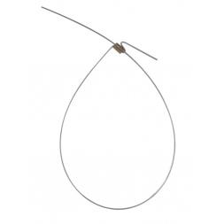 Viola saba soolestik