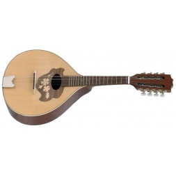 Плоская мандолина Pro Arte Модель 2