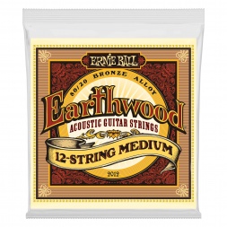 2012 Earthwood Medium 12-String 80/20 Bronze Acoustic Guitar Strings - 11-28 Gauge