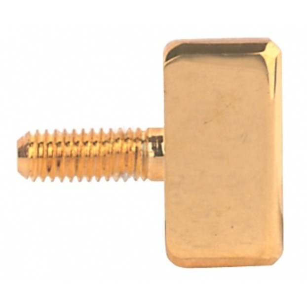 End pin replacement screw
