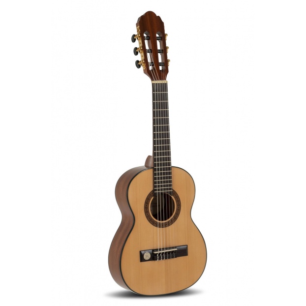 Классическая гитара Pro Arte GC 25 A