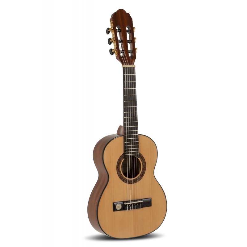 Классическая гитара Pro Arte GC 25 A