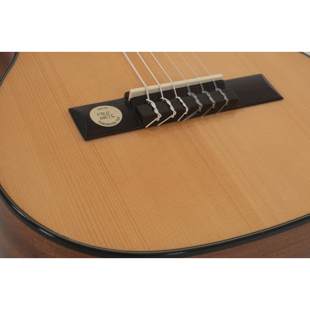 Классическая гитара Pro Arte GC 25 A