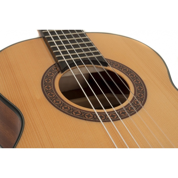 Классическая гитара Pro Arte GC 25 A