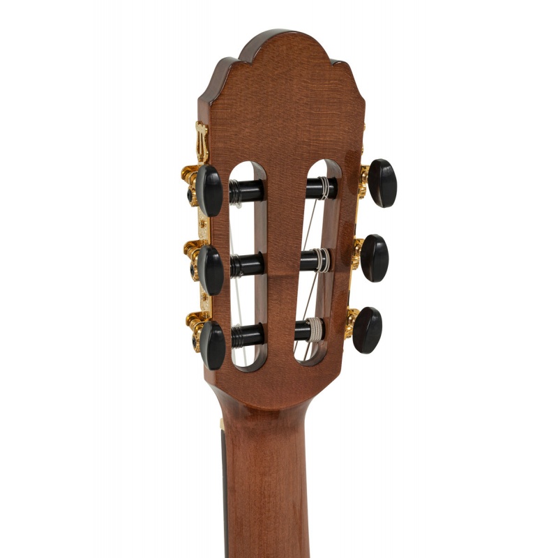 Классическая гитара Pro Arte GC 25 A