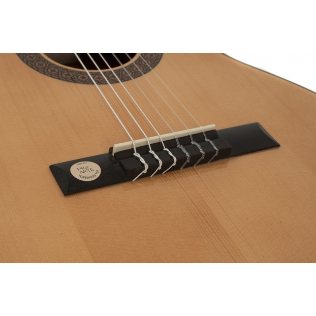 Classical guitar Pro Arte GC 75 II Classical guitar Pro Arte GC 75 II