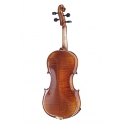 Скрипичный маэстро 1