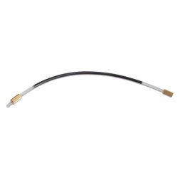 Viulun hännän suolisto