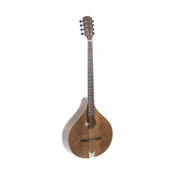 Irish Bouzouki Pro Arte Antique