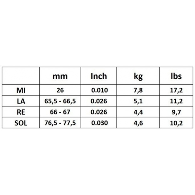 Violin strings Cantiga