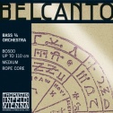 Double bass strings Belcanto