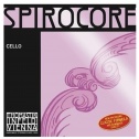 Spirocore spiraalsüdamikuga tšellosaelikud