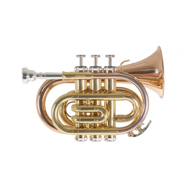 Bb-Pocket trumpet Roy Benson PT-101G