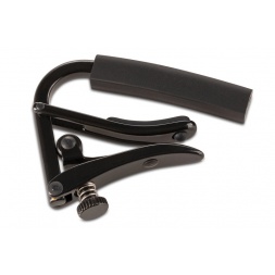 Стандартный начальник