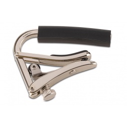 Стандартный начальник