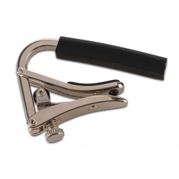 Стандартный начальник