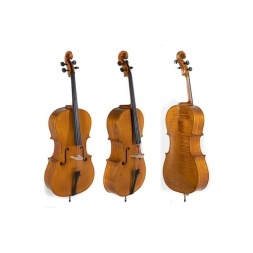 Kontsertšello Georg Walther