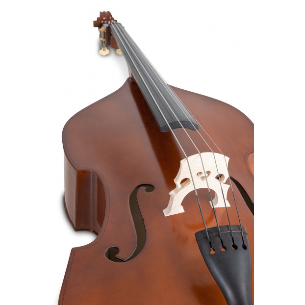 Double bass Basic Line - Laminated version