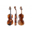 Viola Allegro