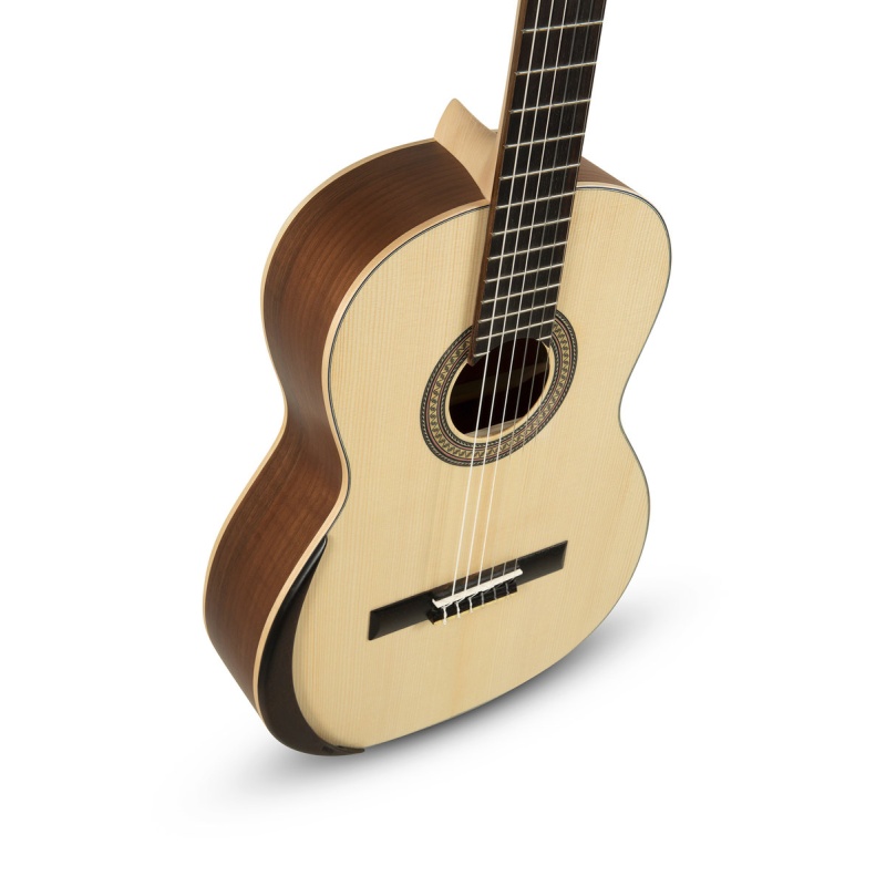 ECOLOGÍA Series E-65 4/4 size