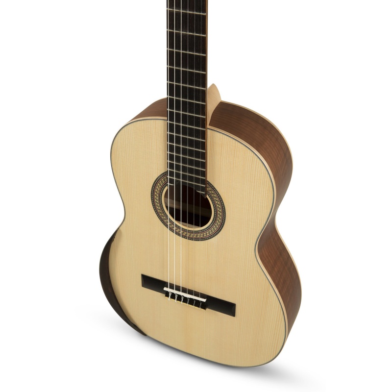 ECOLOGÍA Series E-65 4/4 size