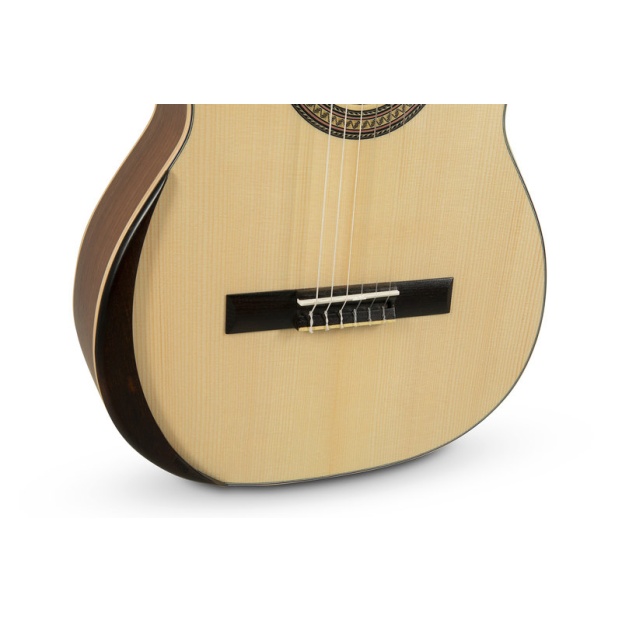 ECOLOGÍA Series E-65 4/4 size