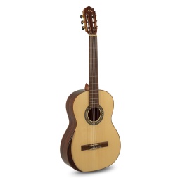 ACADEMIA Series AC60 4/4 size