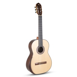 MAGISTRAL Series F ind. Palisander all solid