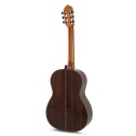 MAGISTRAL Series F ind. Palisander all solid