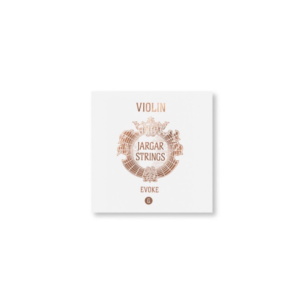 Violin strings Evoke