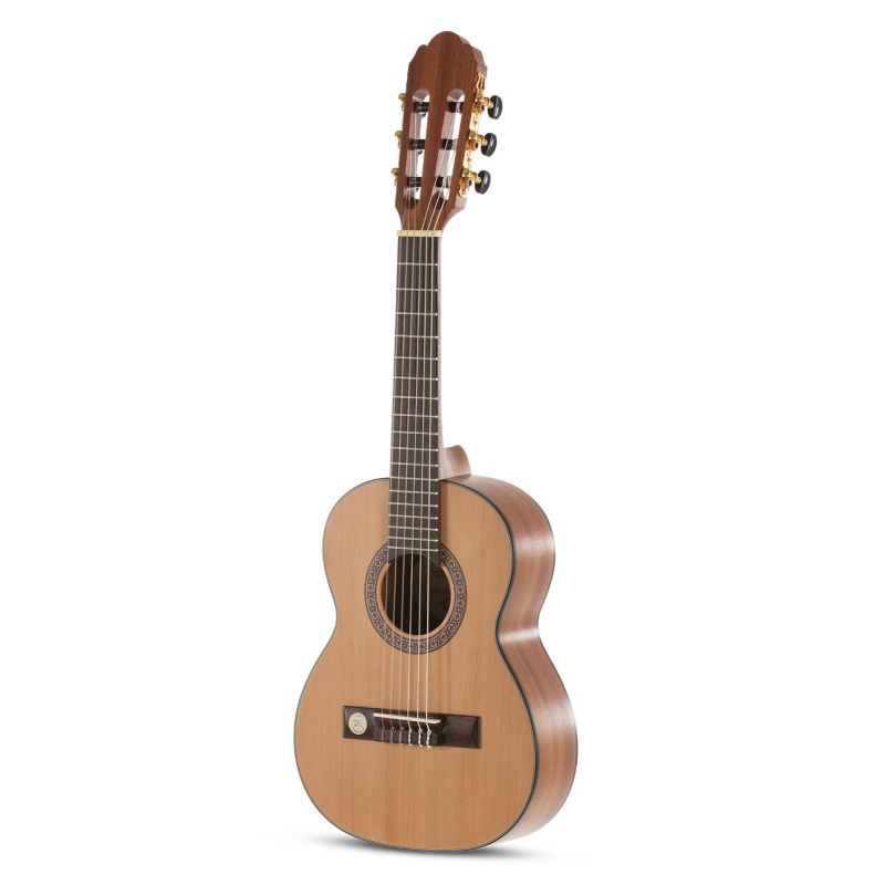 Классическая гитара Pro Arte Maestro CM-25