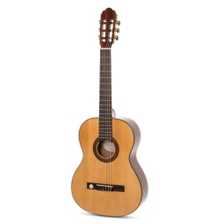 Classical guitar Pro Arte GC 100 A
