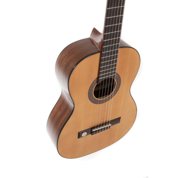 Классическая гитара Pro Arte GC 100 A