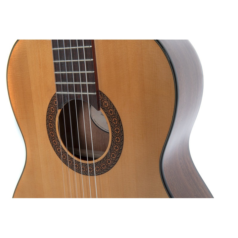 Klassikaline kitarr Pro Arte GC 100 A