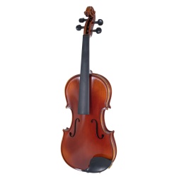 Идеалы скрипки