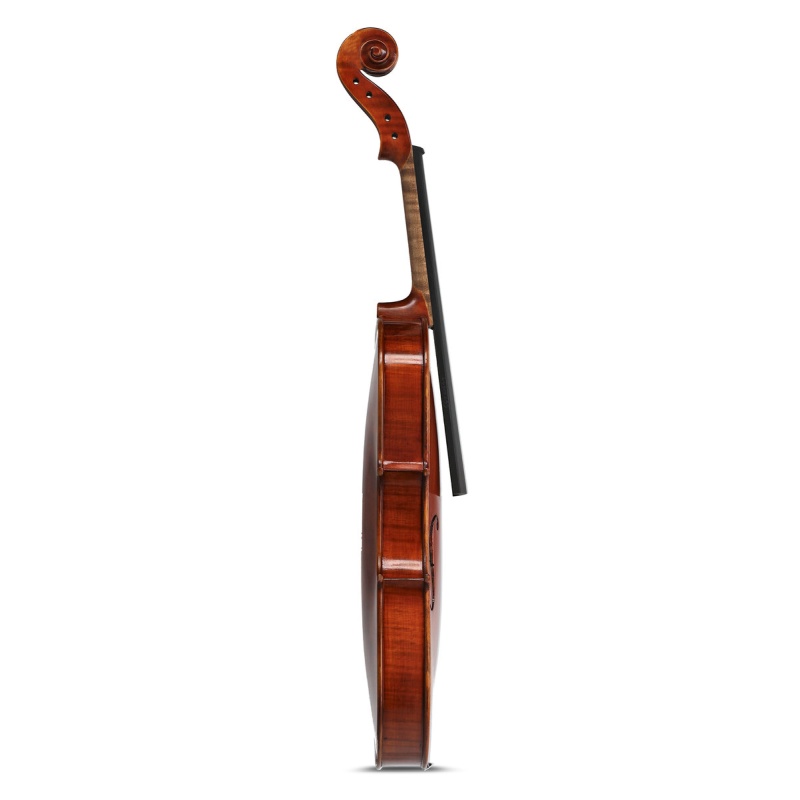 Violin Europa Maestro