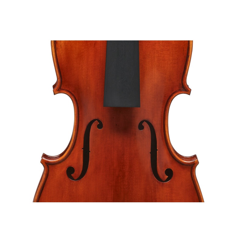 Violin Europa Maestro