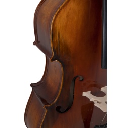 Kontrabass Basic Line - Täielik versioon