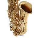 Eb-Alto Saxophone AS650