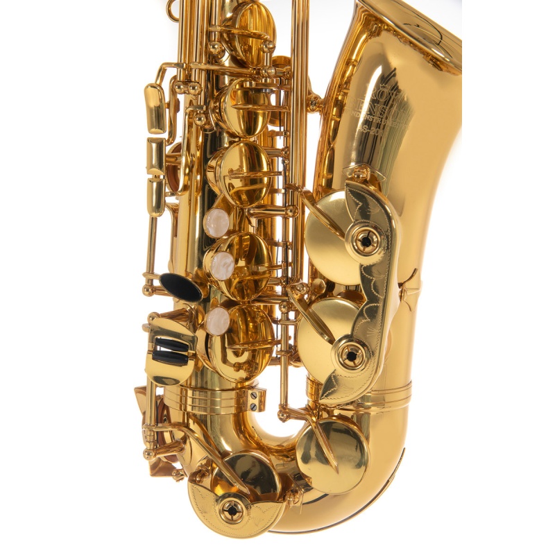Eb-Alto-Saxophone for children Roy Benson AS-201