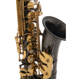 Eb-Alto Saxophone Roy Benson AS-202K