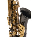 Eb-Alto Saxophone Roy Benson AS-202K