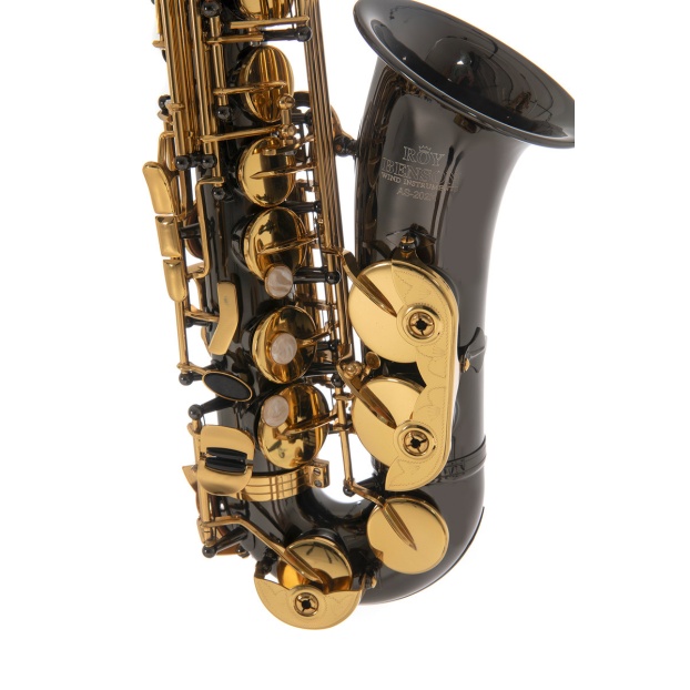 Eb-Alto Saxophone Roy Benson AS-202K