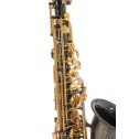 Eb-Alto Saxophone Roy Benson AS-202K