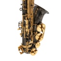 Eb-Alto Saxophone Roy Benson AS-202K
