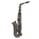 Eb-Alto Saxophone Roy Benson AS-202A