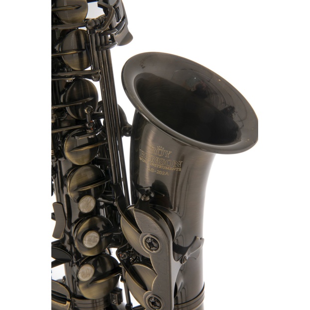 Eb-Alto Saxophone Roy Benson AS-202A
