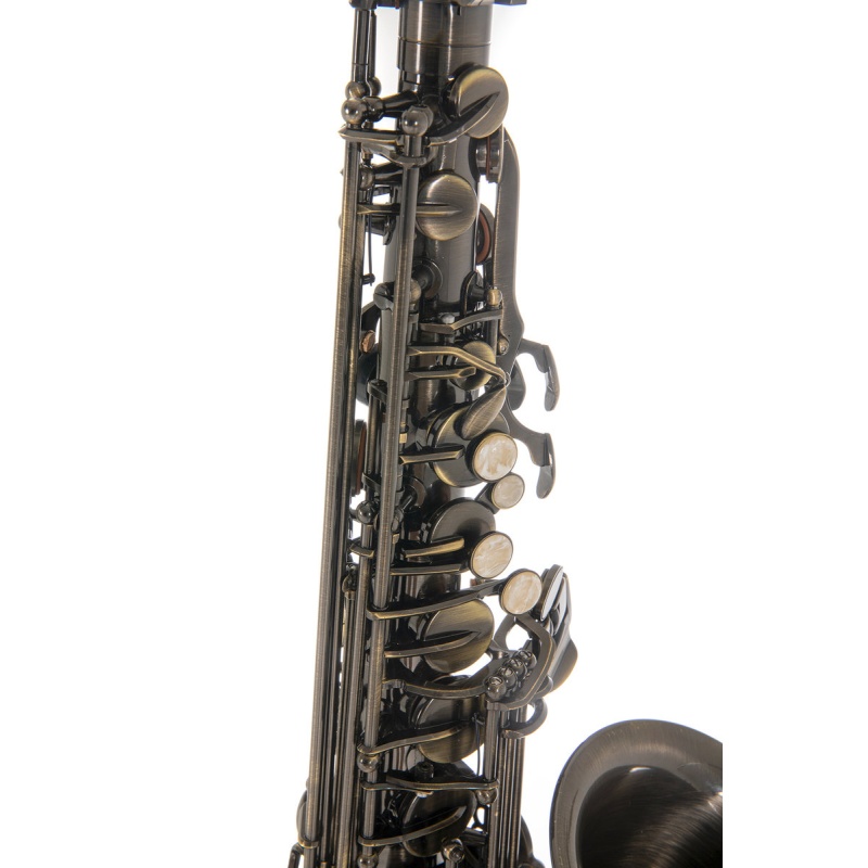 Eb-Alto Saxophone Roy Benson AS-202A
