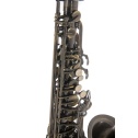 Eb-Alto Saxophone Roy Benson AS-202A